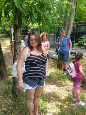 Kindertierschutz in Kiskunhalas/Ungarn