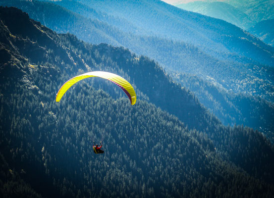 Paraglider