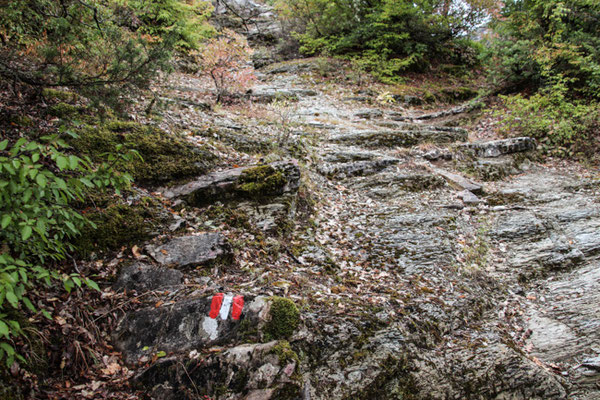 gut markierter Wanderweg