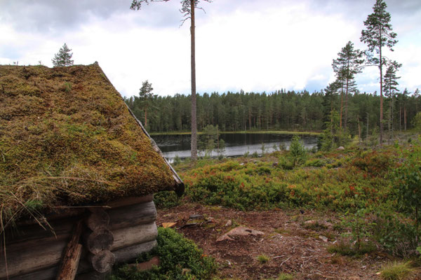 am Finnskogveden