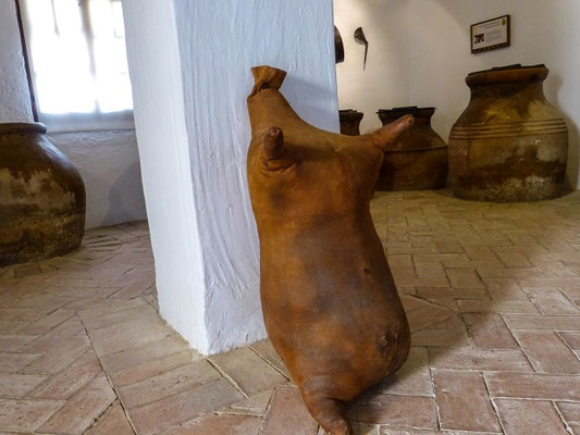 im Olivenmuseum