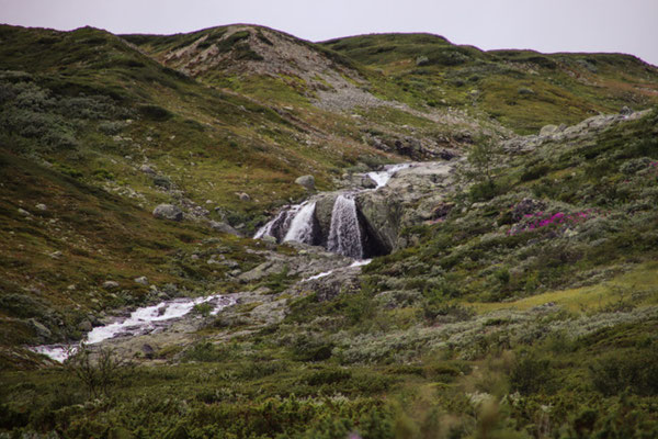 Jotunheimenweg