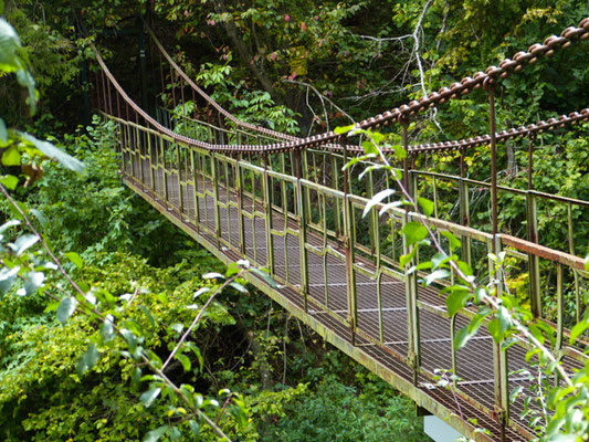 Wanderung am Hornad