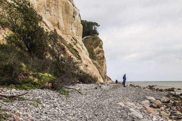 Møns Klint
