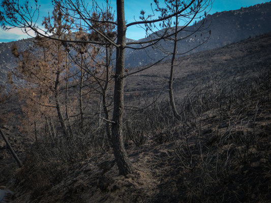 in der Serra de Estrela