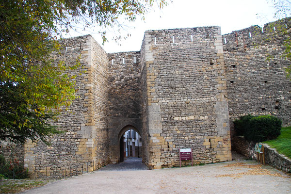 Morella