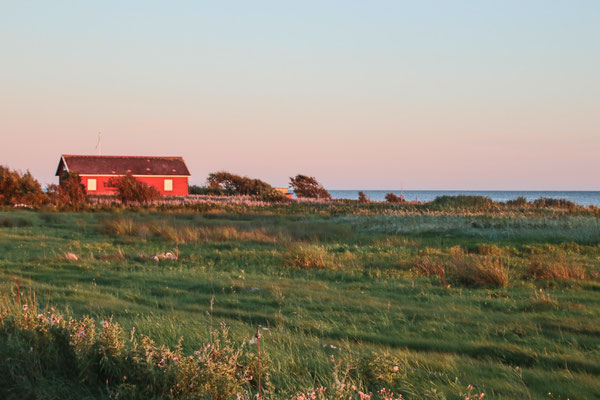 Falkenberg