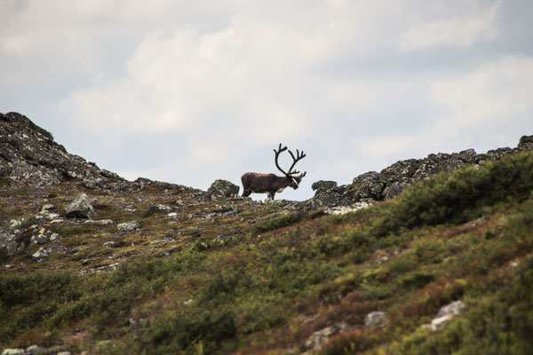 beim Ånnfjället