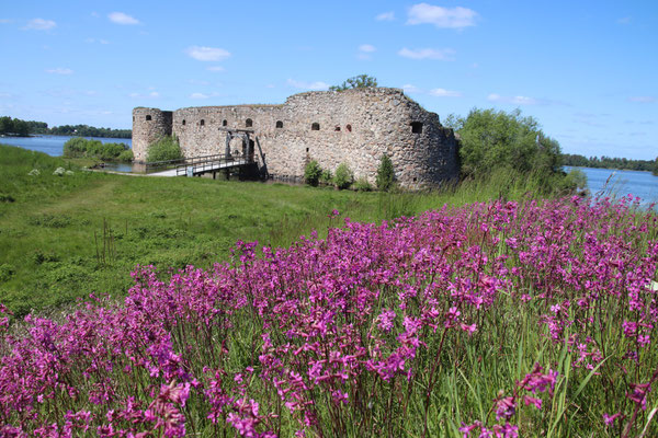Kronoberg Slot Ruin
