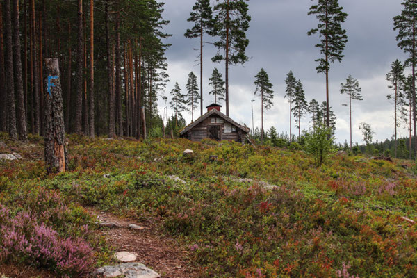 am Finnskogveden