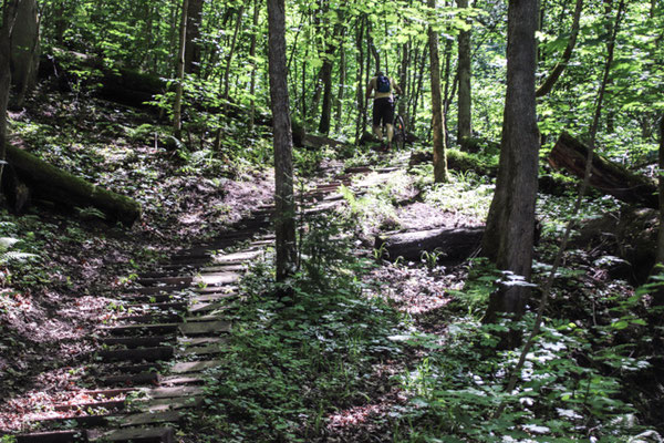 Radtour an der Gauja