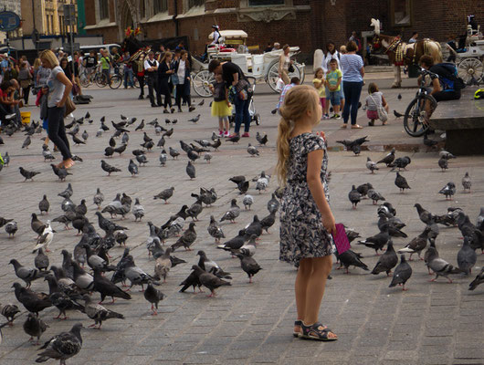 Krakau, Rynek