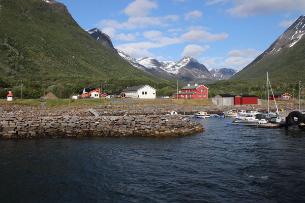 Lyngseidet
