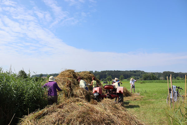 Arbeitseinsatz auf der LBV-Fläche bei Mattsies. Foto: Ines Wendekamm