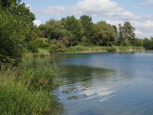 Ufer in der künftigen Schleife. Foto: Leo Rasch