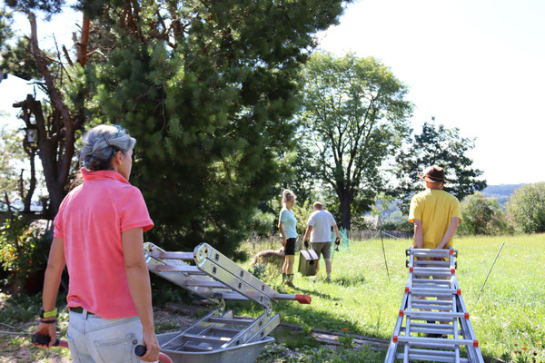 Ein Waldkauzkasten wird in einem Garten in Warmisried installiert. Foto: Ines Wendekamm