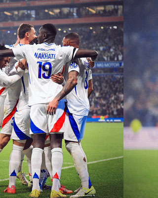 Retouche Photo Olympique Lyonnais