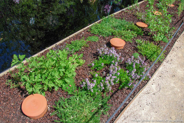 Jardin en mai