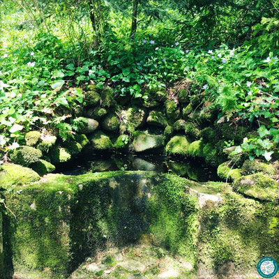 Comment aménager son jardin - Espace ombragé