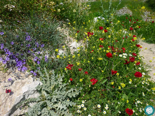Comment aménager son jardin - Espace ensoleillé
