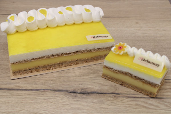 Yuzu : Croustillant chocolat/yuzu, crémeux yuzu, biscuit noisette, et mousse  Yuzu/citron