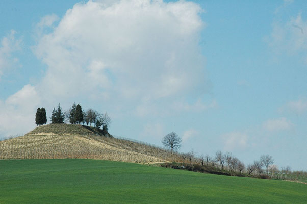 Bricco solitario