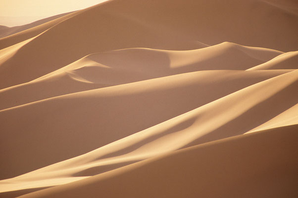 Mitten in den Dünen der Kongorin Els in der Wüste Gobi.