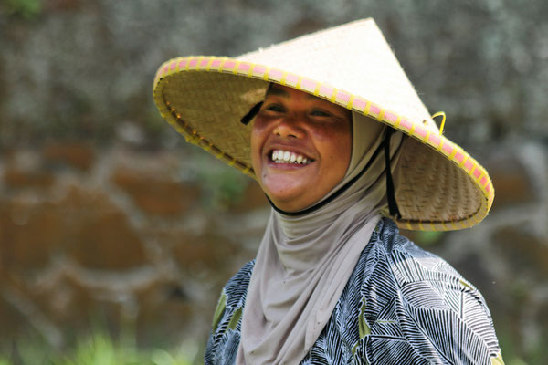 Reisbäuerin auf dem Feld in Nord-Sumatra
