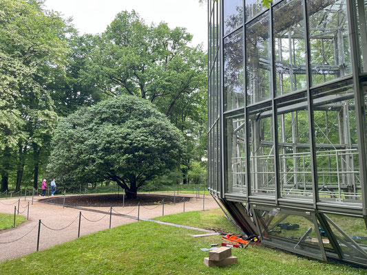 Foto: S. Grünberger