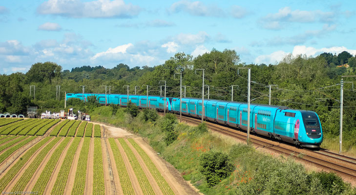  Le TGV OUIGO n°7628 reliant Nantes à Paris Montparnasse est vu à Mauves sur Loire, le 14-06-2019.