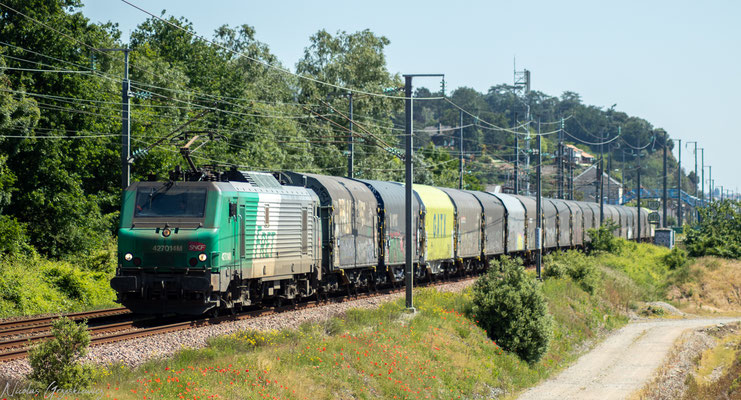 Il a été mon dernier train avant le confinement, c'est aussi le 1er après. On peut noter l'apparition massive de coquelicots depuis que la tenue maraîchère n'est plus entretenue... Mauves sur Loire, 15 Mai 2020.