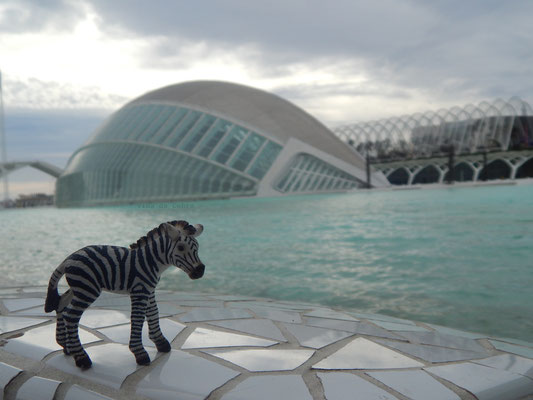 Valencia / València