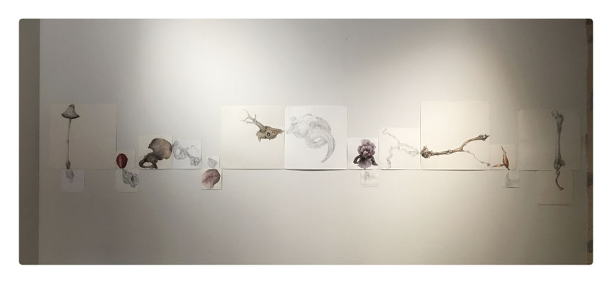 L'Hyménée / 2019/2020 / Mine graphite, encre acrylique, aquarelle sur papiers / Ensemble de 18 éléments / Dimensions variables (avec Isabelle Le Morvan)