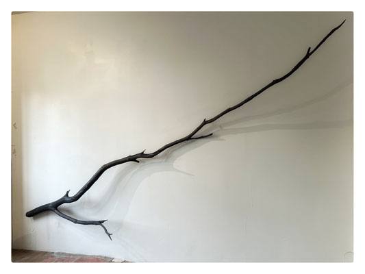 Ecriture / 2025 / Branche, poudre de graphite, mur blanc / 200x413x55 cm