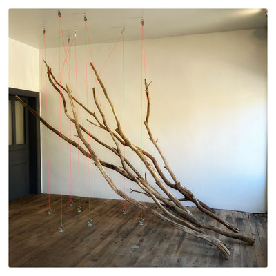 Relevé / 2024 / Branches mortes, pitons, chevilles à bascule, poulies, cordelette, anneaux fixation platine, son / Dimensions variables / III composée par Desert Dew - 4'19