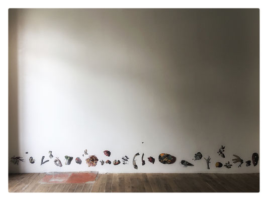 Asarôtos Oïkos / 2023 / Photographies transférées sur mur / 48x404 cm l’ensemble (avec Stéphane Étroit Desmarest)