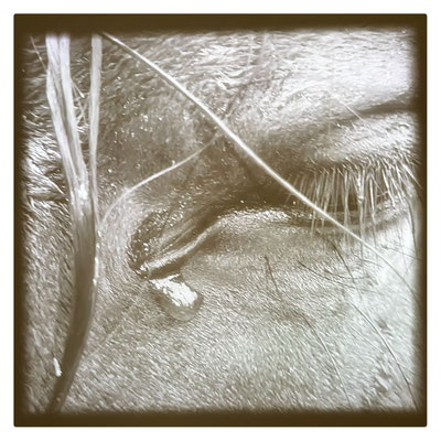 Nuits / 2024 / Projection vidéo, crêpe de soie noire, boîte en carton, cendres, haut-parleur, son / 3'17 / Diffusion en boucle / Détail