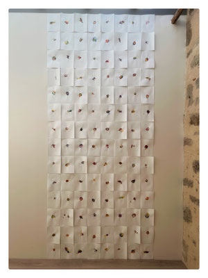 Ecchymoses / 2025 / 112 éléments / Buvard, aquarelle et encre / 294x128 cm