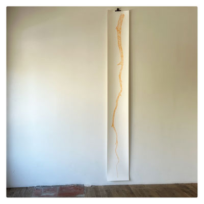 Retombées / 2024 / Crayon de couleur sur papier Baohong / 284x37 cm