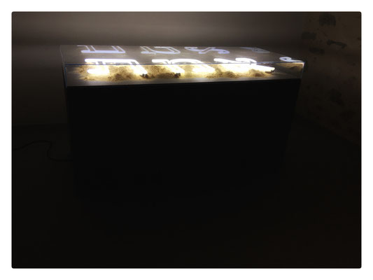 גולם (De l'hébreu Golem : embryon, informe ou inachevé) / 2019 / Médium, argile, néons, Plexiglas, dispositif sonore / La disparition, Georges Perec / 180x95x72 cm