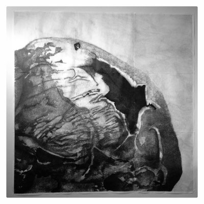 Mise au point / 2014 / Tirages plan (9 éléments), graphite, pierre noire, craie blanche, fusain / 225x225 cm