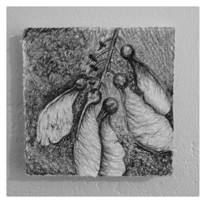 Fin de saison / 2015 / 13 dessins / Crayon sur papier Arches / 6x6 cm chaque élément / Détail