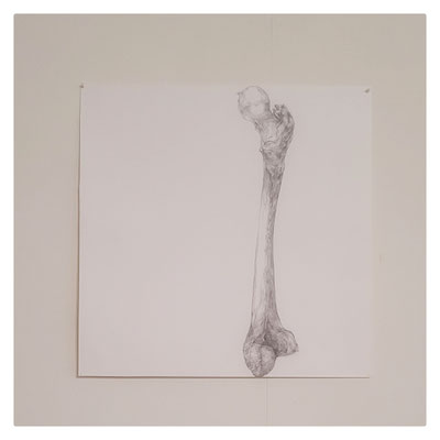 Massacre / 2019/2020 / Mine graphite sur papier Hahnemühle / 47x47 cm (hors-cadre)