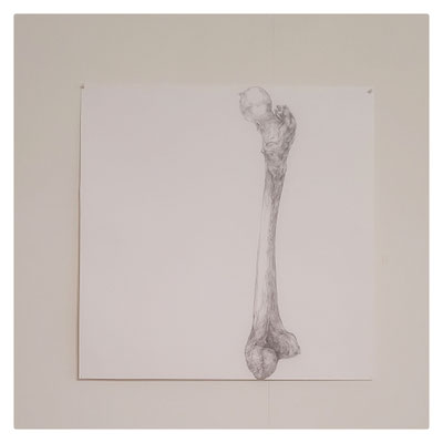 Massacre / 2019/2020 / Mine graphite sur papier Hahnemühle / 47x47 cm (hors-cadre)