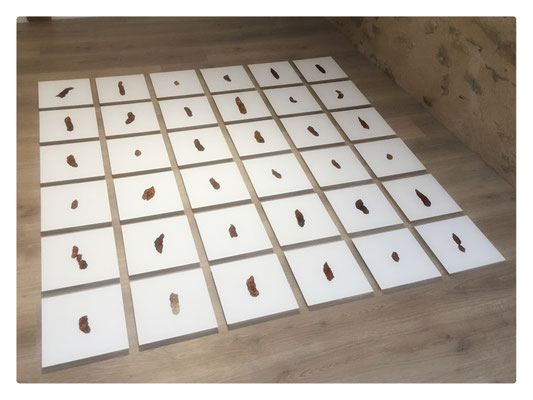 Promenades (Série Boulimie) / 2013... / Encre acrylique sur papier aquarelle, médium / 25X25 cm chaque élément / 165x165 cm l'ensemble / 36 dessins d’excréments canins sur une série inachevée de 100