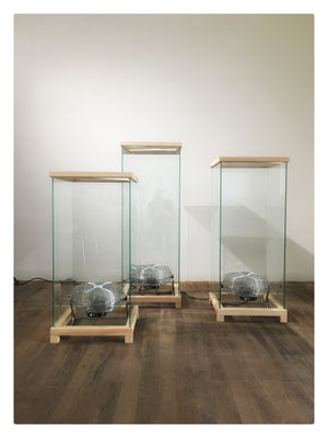 Les Vols / 2020 / Mine graphite sur papier Moulin du Roy, vitrine, ventilateur, alimentation électrique / Trois dessins d'oiseaux morts placés en suspension / 41,5x41,5 cm chaque dessin / Dimensions variables