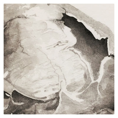 Sacre / Série Les choses noires / 2013 / Mine graphite et aquarelle sur papier / 25x25 cm (hors-cadre)