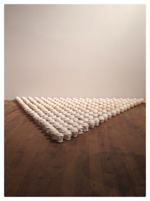 Séquences / 2009 / Installation, 210 éléments en plâtres / Dimensions variables