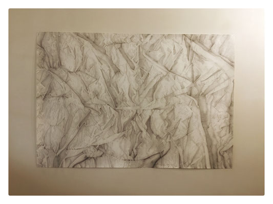 Rivages / 2020-2021 / Mine graphite sur papier / 140x204 cm