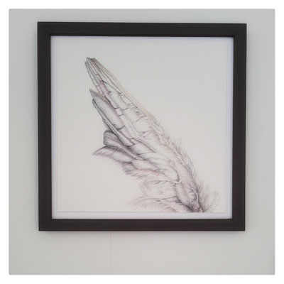 Archange / 2021 / Mine graphite et aquarelle sur papier Arches / 27x27cm